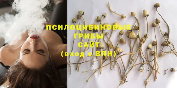твердый Михайловск